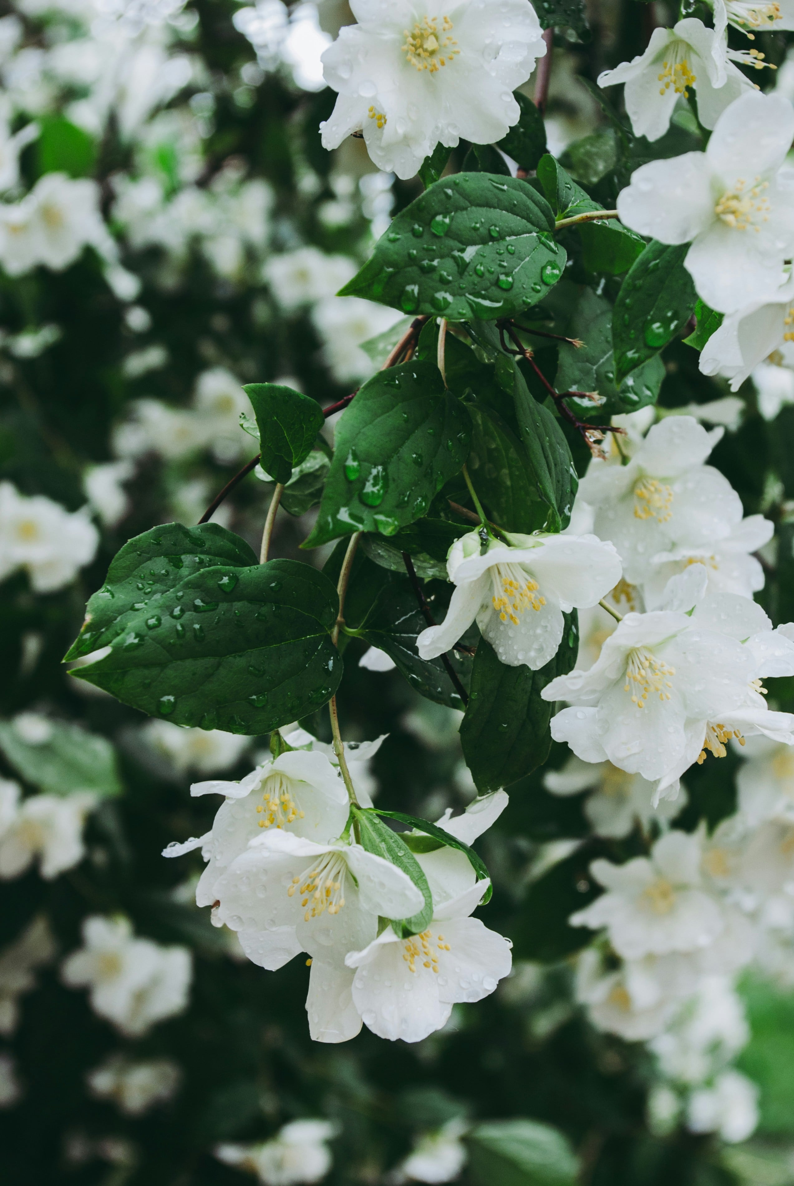 © Unsplash/ Dagmara Dombrovska